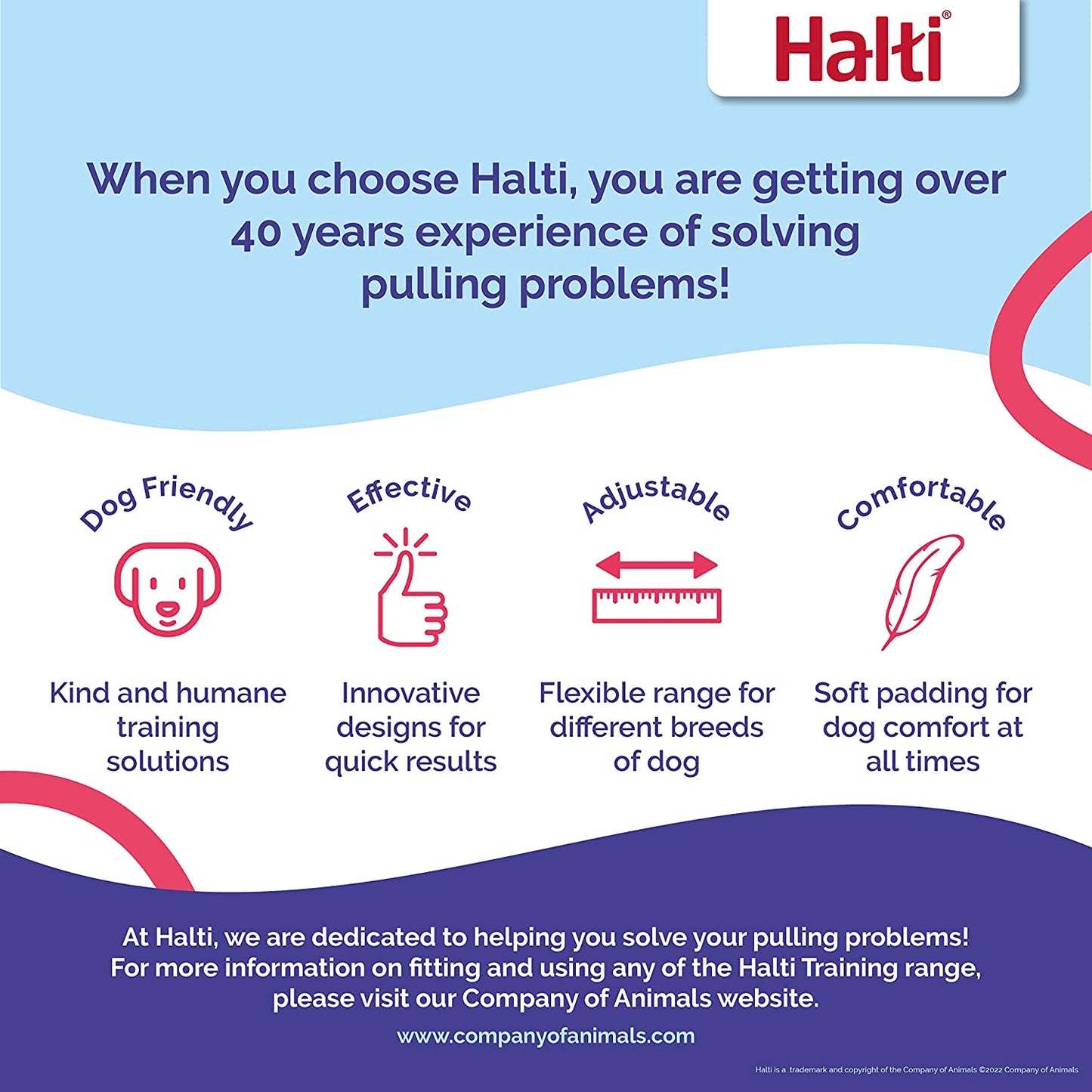 Training Leash - Multifunctional Double-Ended Dog Leash, Ideal for Anti-Pulling Dog Training. Lightweight, Soft & Durable. Suitable for Puppies and Small Dogs (Size Small, Black, 2M)