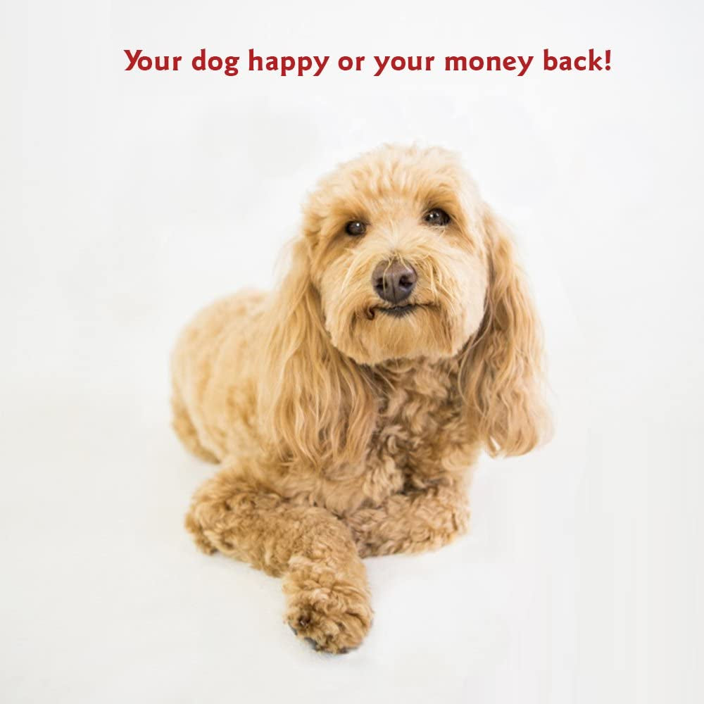 Extra-Large Rectangle Washable Dog Bed - Non-Slip Comfortable Pet Bed with Removable Cover - Perfect for Dog Crates and Kennels - Dimensions: 50"x42"x5" - Black