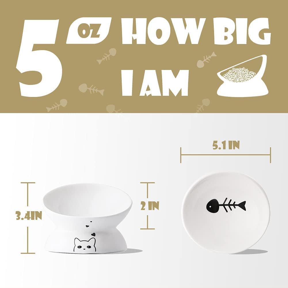 Elevated Ceramic Cat Bowls for Food and Water with Slanted Design for Spine Support and Backflow Prevention (Gray)