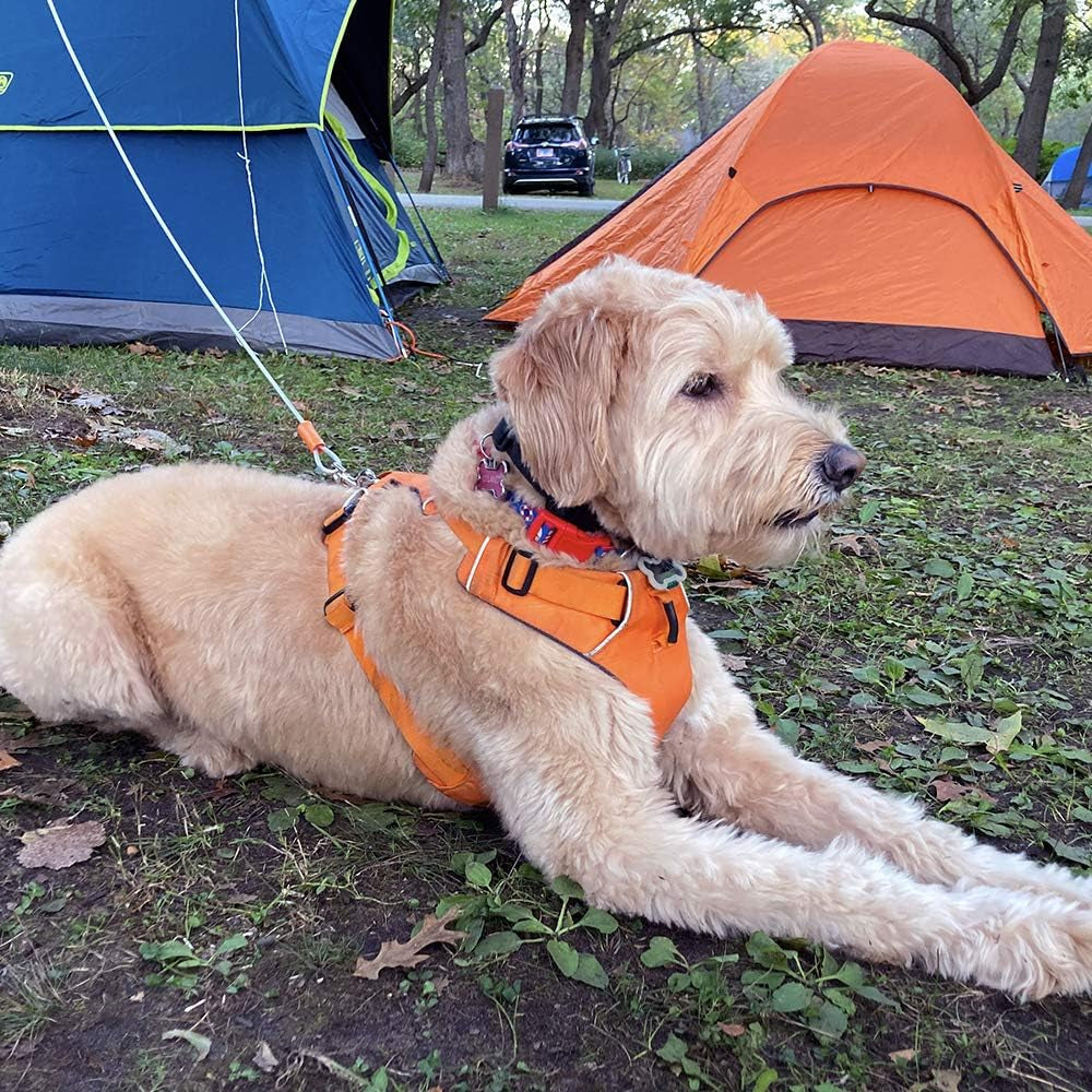 Dog Tie Out Cable 25 Feet - Heavy Duty Dog Lead up to 90 Pounds - Reflective & Rust-Free with Quick Release Swivel Clips & 360° Rotating Clasp - Tangle-Free Dogs Runner for Yard (Silver, Single)