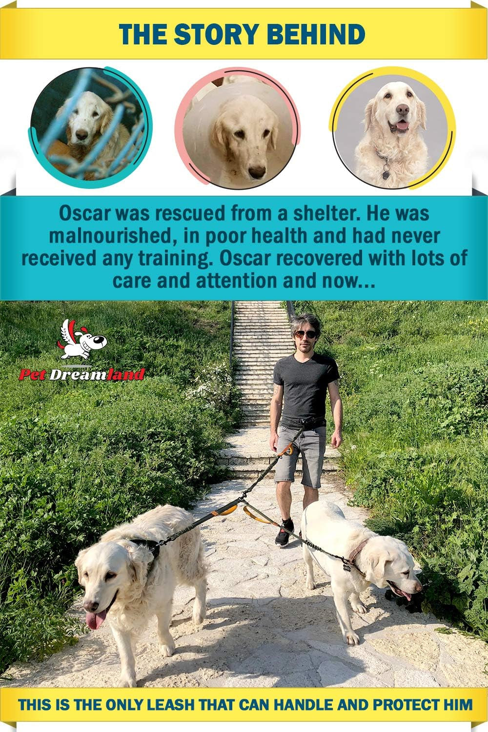 Exquisite Double Dog Leash Coupler with Tangle-Free Swivel. Premium & Versatile Attachment for Walking Two Dogs. You Will Absolutely Love This Amazing Dual Dog Coupler (Khaki & Orange)