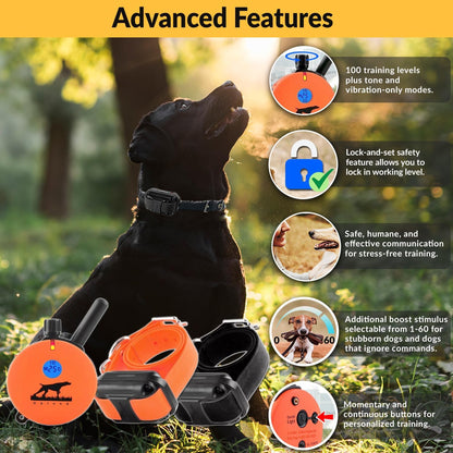 E-Collar Humane Dog Training Collar with Remote, 100 Safe Tapping Stimulation Levels, Night Light, Waterproof, Rechargeable, 1 Mile 2 Large Dogs, Orange