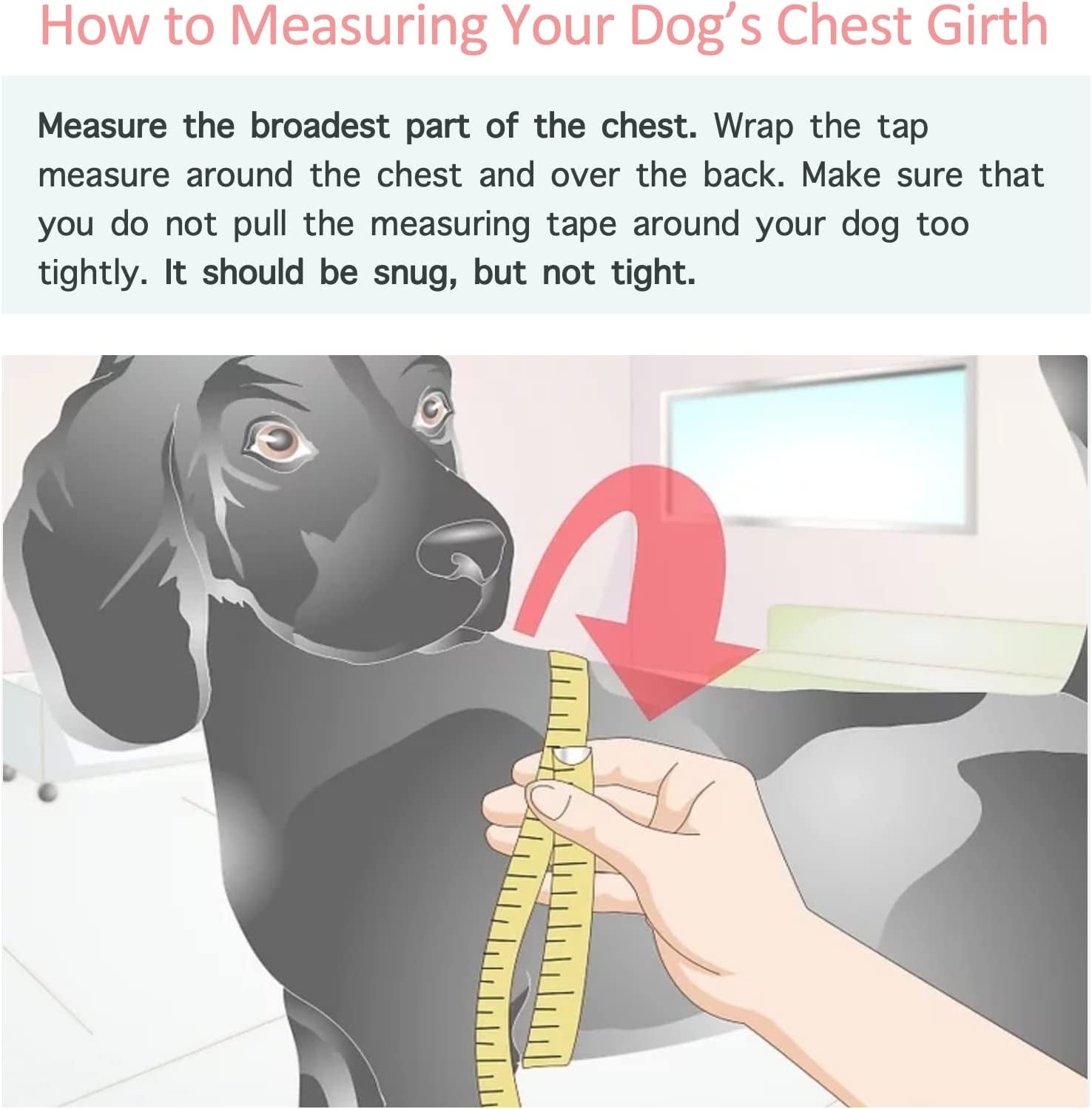 Stylish Dog Hoodie Dog Clothes Streetwear Cotton Sweatshirt Fashion Outfit for Dogs Cats Puppy Small Medium Large (5XL, Yellow)