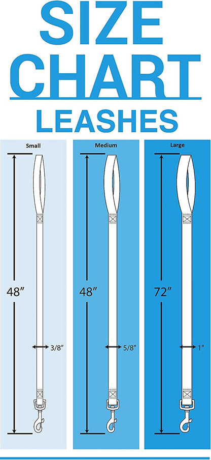 MLB PET Leash, Small, Tampa Bay Rays Dog Leash, Baseball Team Leash for Dogs & Cats. a Shiny & Colorful Dog & Cat Leash with Emboridered Team Name/Logo Licensed by the MLB