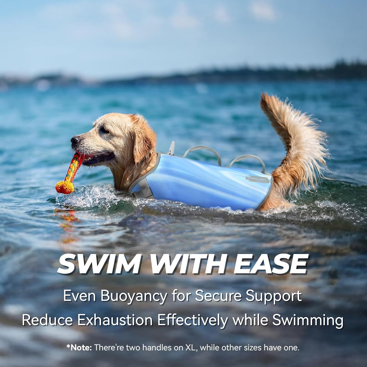 Neoprene Dog Life Vest, Dog Life Jacket for Swimming & Boating, Lightweight & Buoyancy for Puppy Doggy, Swimming Vest with Handle, XS, Blue Wave