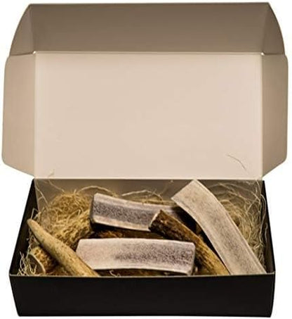 Premium Assorted Elk Antler Dog Chews - 1 lb Box with 7-8 Whole and Split Pieces