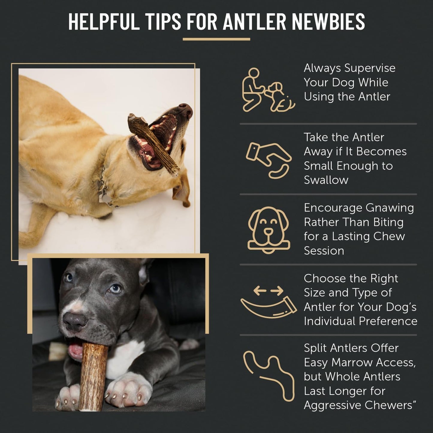 Premium Assorted Elk Antler Dog Chews - 1 lb Box with 7-8 Whole and Split Pieces