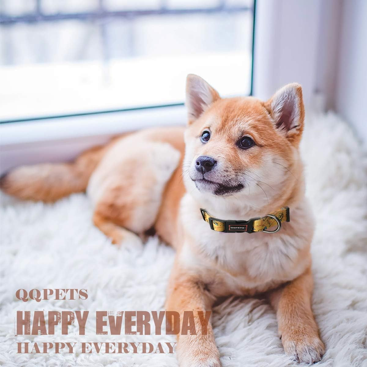 Adjustable Soft Dog Collar: Print Flower Pink Multicolor Cute Patterns for XS Small Medium Large Pet Girl Boy Puppy Walking Running Training (M, Yellow Bee)