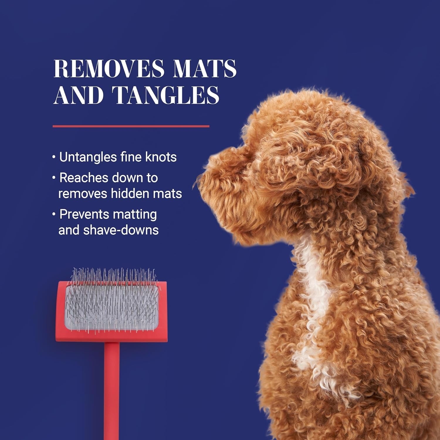 Big G Professional Slicker Brush for Dogs (Goldendoodles, Labradoodles, Poodles) - Efficient Grooming Tool for Fluffing, Detangling, and Styling, Coral, Large