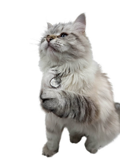 Pet EMF Defense Pendant