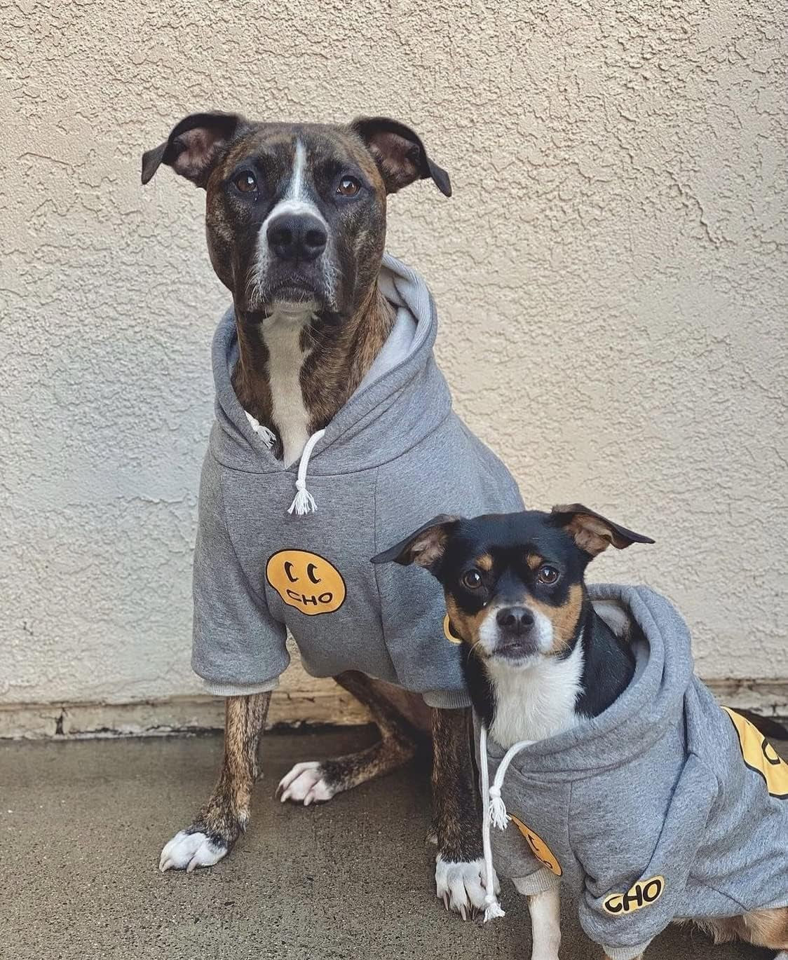 Smiley Dog Hoodie Stylish Dog Clothes Smiley Face Sweater Cotton Sweatshirt Fashion Outfit for Dogs Cats Puppy Small Medium Large (X-Large, Grey)