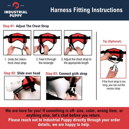 Service Dog Vest with Hook and Loop Straps & Matching Service Dog Leash Set - Harnesses from XXS to XXL - Harness Features Reflective Patch and Comfortable Mesh Design