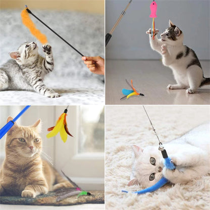 Cat Feather Toys, 13PCS Replacement Teaser with Bell Refills and 2PCS Retractable Cat Wand Toy , Interactive Cat Wand for Kitten Cat Having Fun Playing