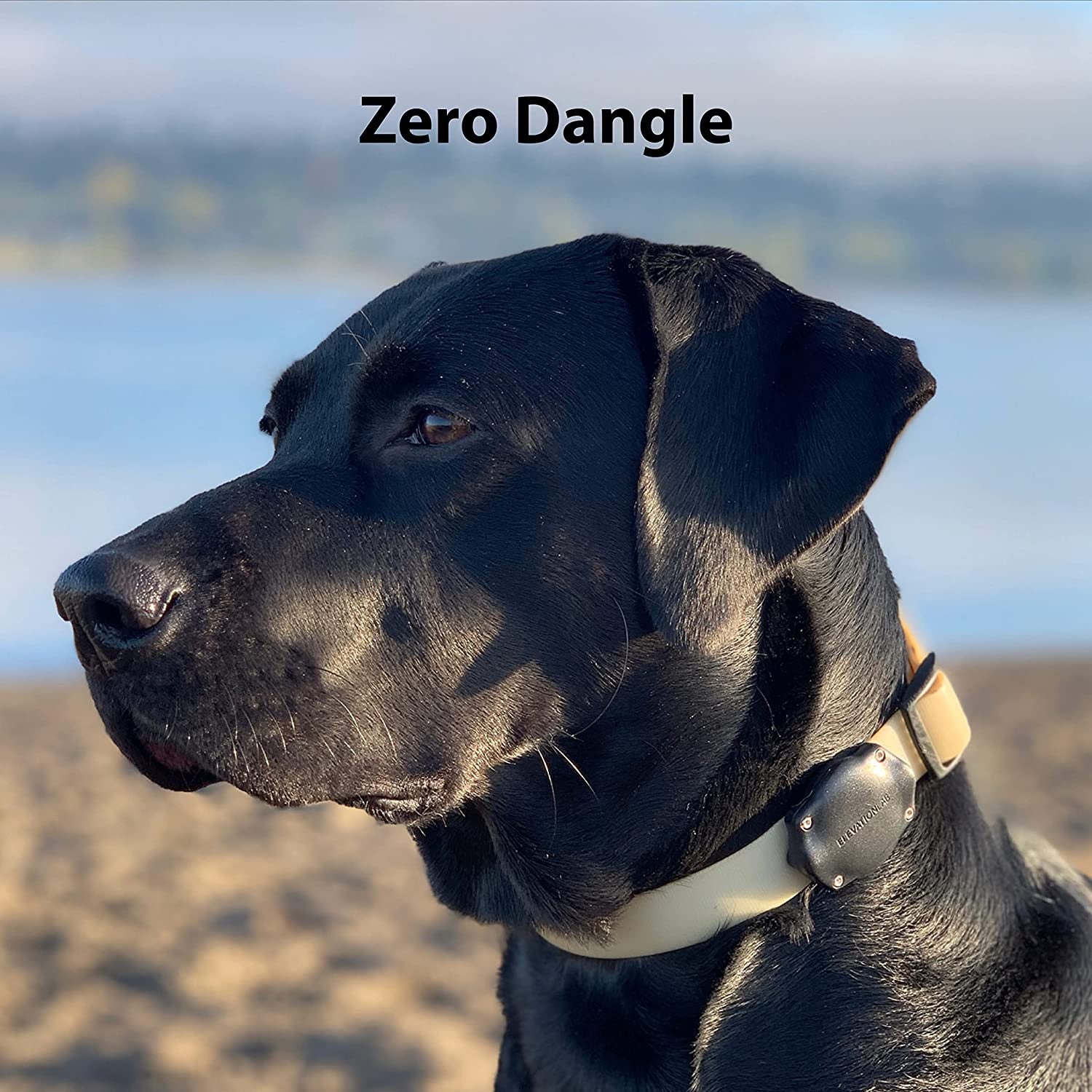 Tagvault Airtag Dog Collar Mount (Single) - IP69 Waterproof, Doesn'T Dangle, Fits All Width Collars, Glow in the Dark