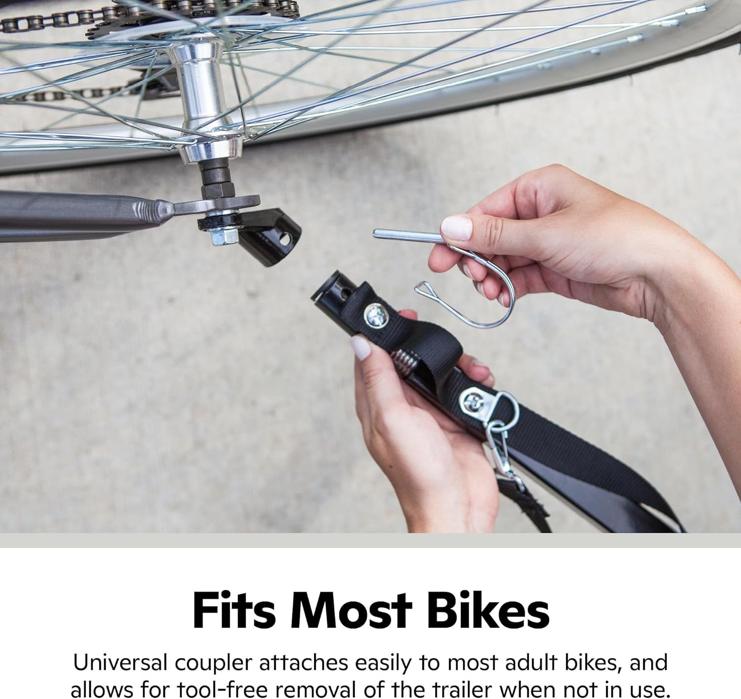 Rascal Pet Trailer, Holds Pets up to 50 or 100 Lb, Universal Coupler, Folding Frame, Quick-Release Wheels, Rear Doggy Door, Leash, Washable Liner, Bug Screen,  Bike Trailer for Pets