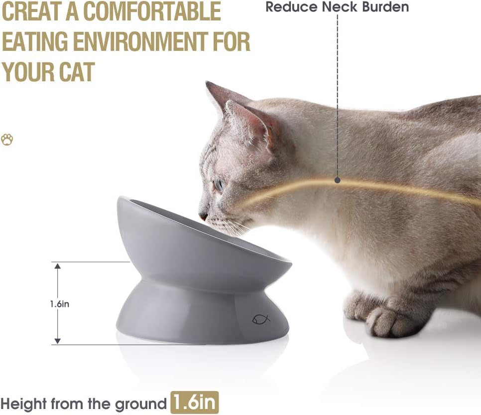Elevated Ceramic Cat Bowls for Food and Water with Slanted Design for Spine Support and Backflow Prevention (Gray)