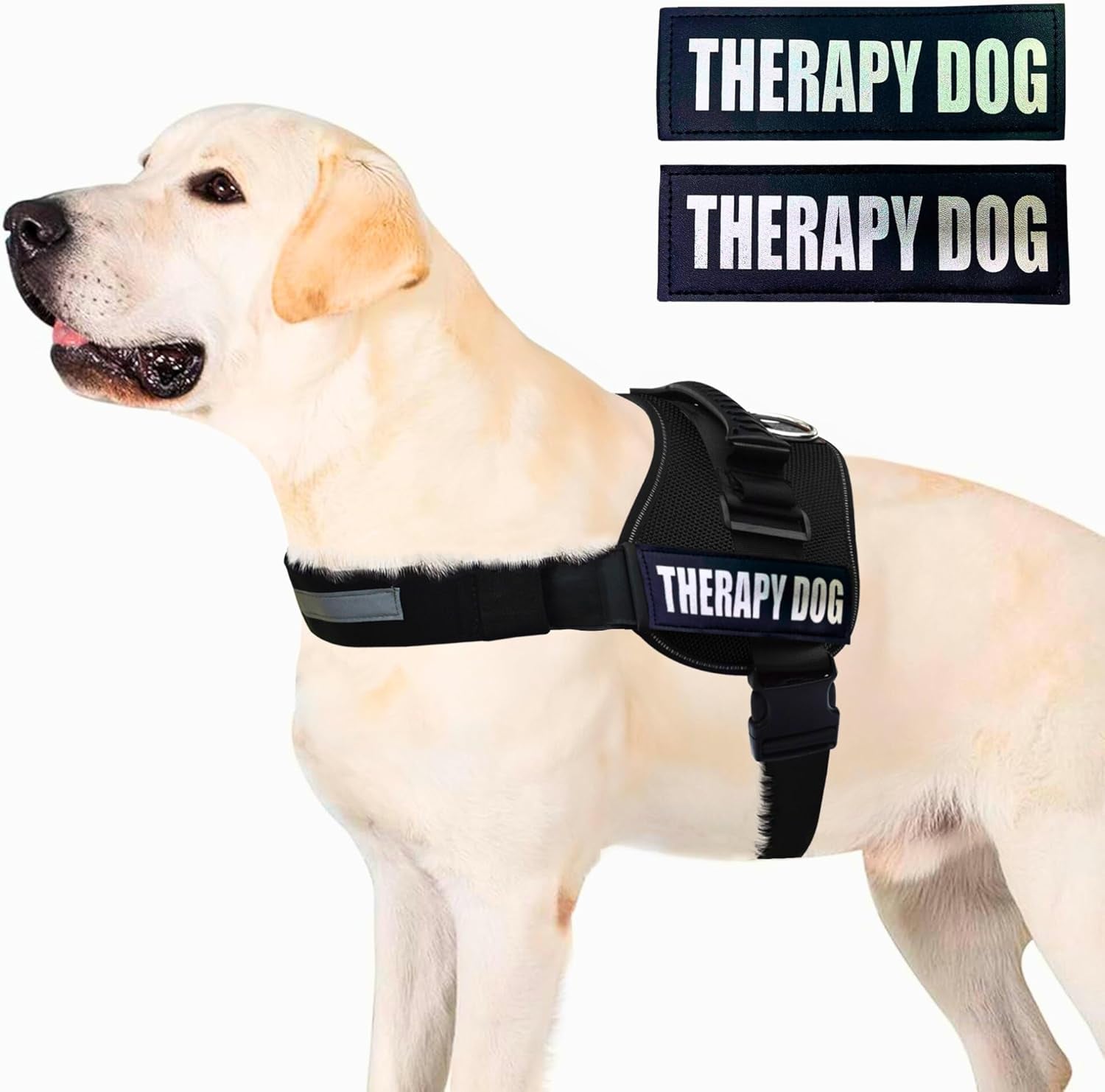 Reflective Therapy Dog Vest Harness, Woven Nylon, Adjustable Service Animal Jacket, with 2 Hook and Loop Therapy Dog Removable Patches. Black, Extra Large