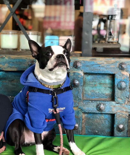 Stylish Streetwear Blue Dog Sweatshirt Tracksuits, Cats Hoodies, Dog Outfit for Cat Puppy Small Medium (3XL)