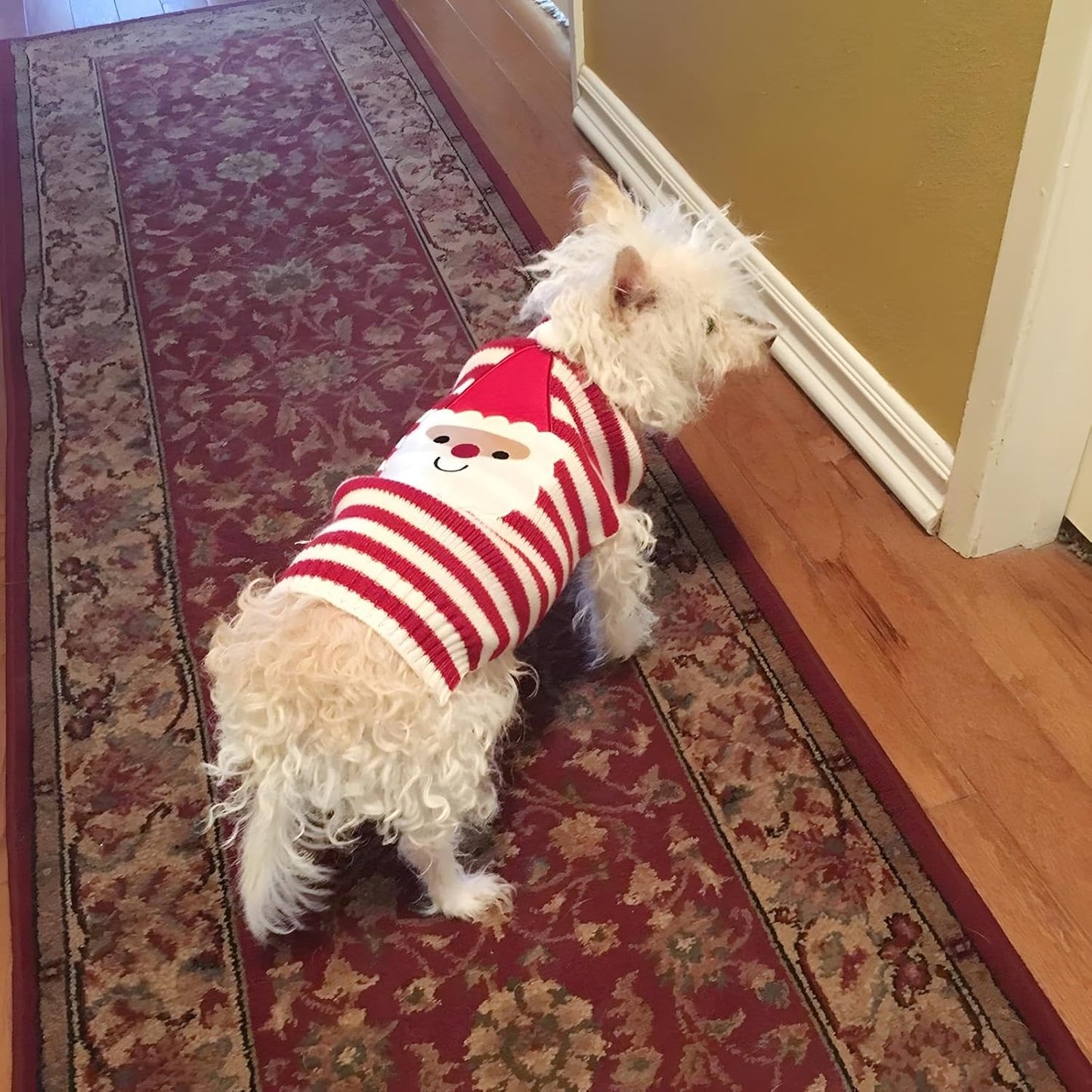 Santa Claus Pet Sweater Dog Sweaters Cold Weather Outfit for Small to Medium Sized Dogs and Cats for Christmas Day (Santa Claus, X-Small)