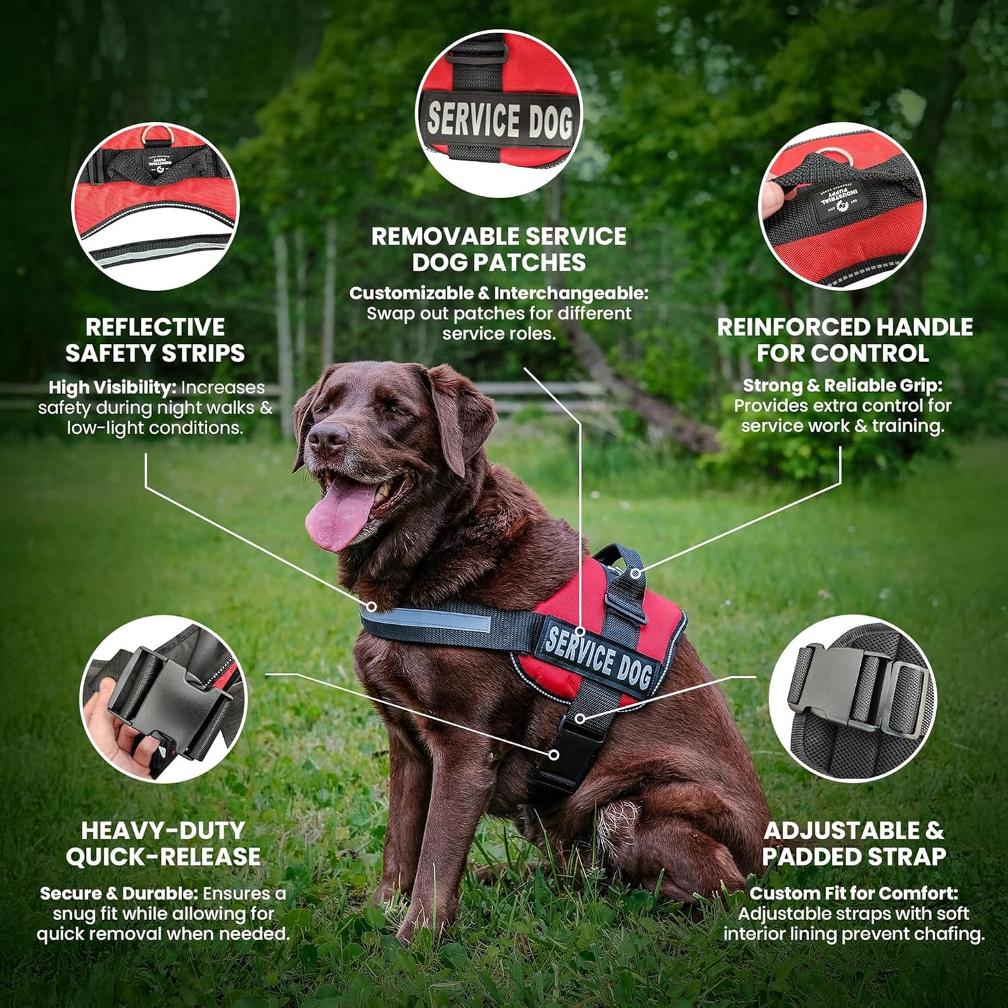 Service Dog in Training Vest with Hook and Loop Straps and Handle - Harnesses in Sizes from XXS to XXL - Service Dog Vest Harness Features Reflective Patch and Comfortable Mesh Design