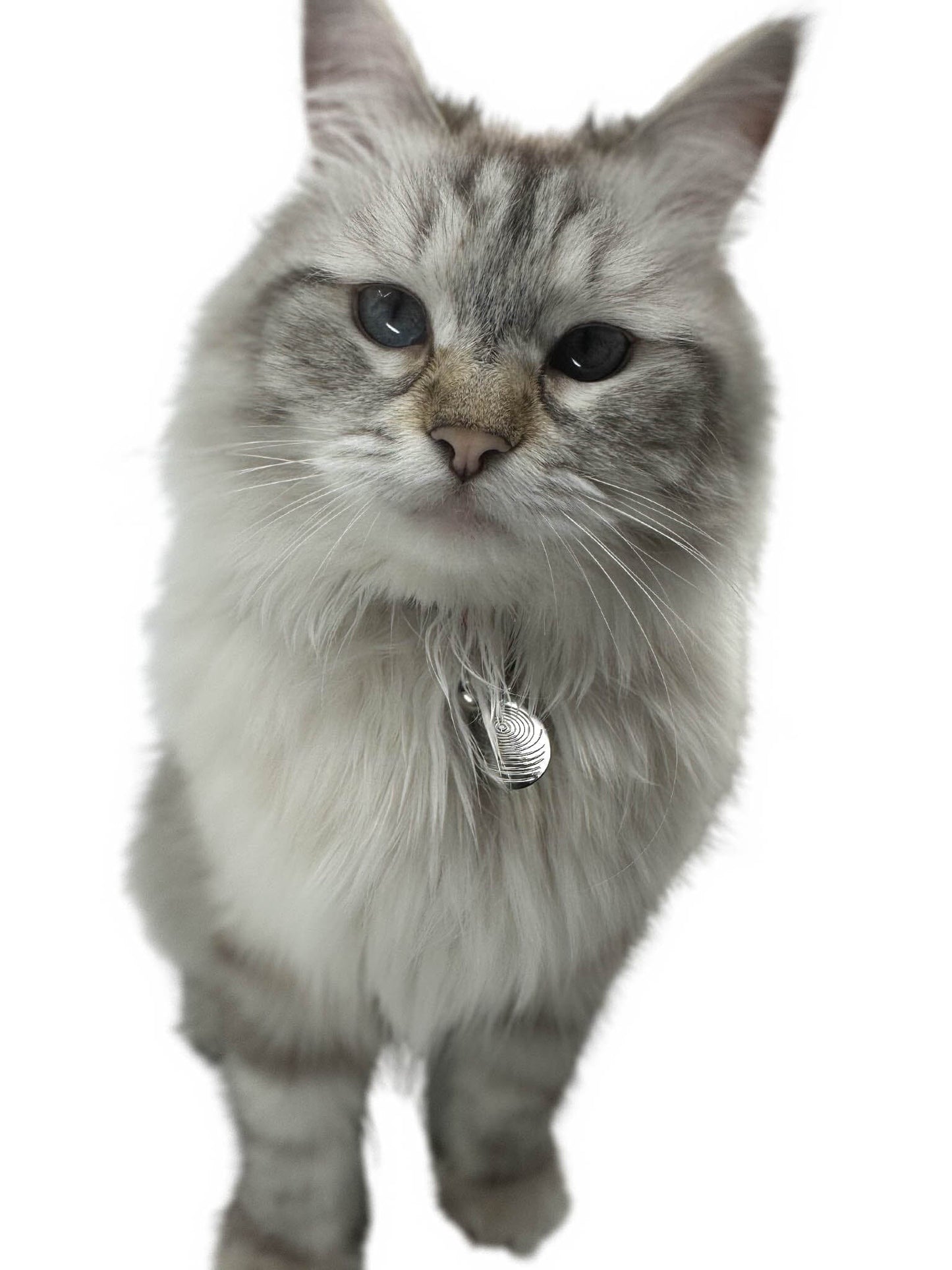 Pet EMF Defense Pendant