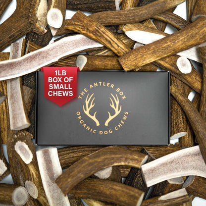 Premium Assorted Elk Antler Dog Chews - 1 lb Box with 7-8 Whole and Split Pieces