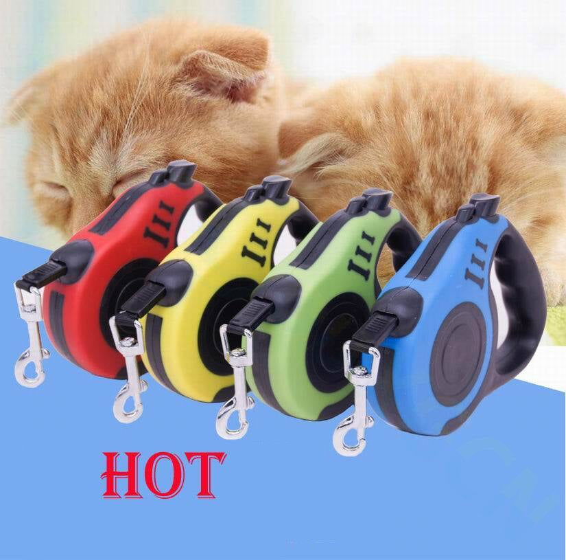 16.5FT Automatic Retractable Dog Leash with Pet Collar - Hands-Free Walking Solution, Free Shipping in the United States