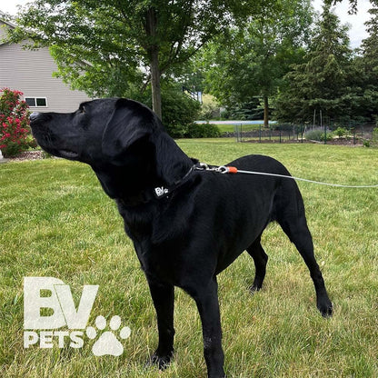 Dog Tie Out Cable 25 Feet - Heavy Duty Dog Lead up to 90 Pounds - Reflective & Rust-Free with Quick Release Swivel Clips & 360° Rotating Clasp - Tangle-Free Dogs Runner for Yard (Silver, Single)