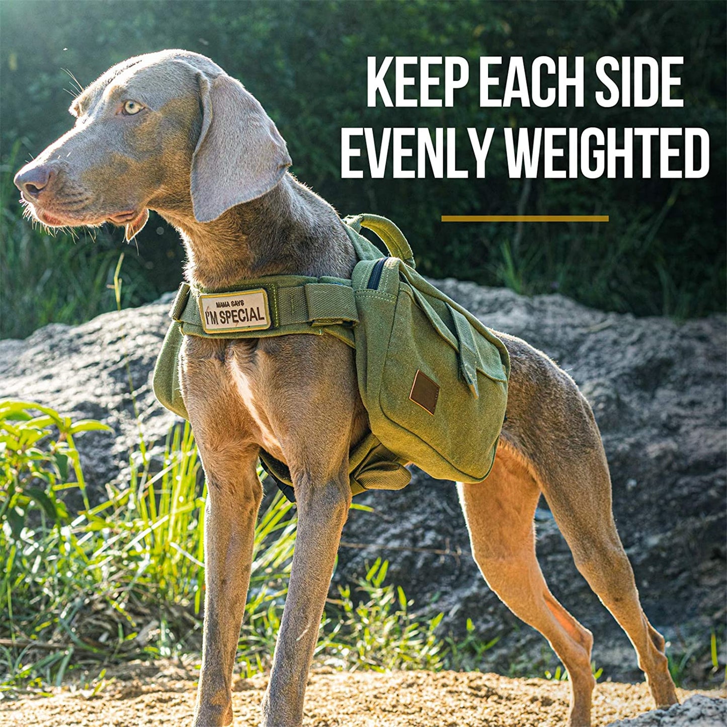 Dog Pack Hound Travel Camping Hiking Backpack Saddle Bag Rucksack for Medium & Large Dog (Ranger Green, Large)