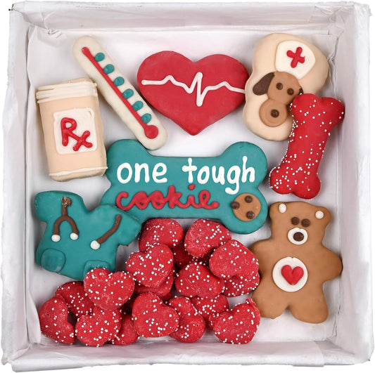 Wufers Get Well Soon Treats for Dogs | Handmade, Hand-Decorated Dog Gifts | Made with Locally Sourced Ingredients