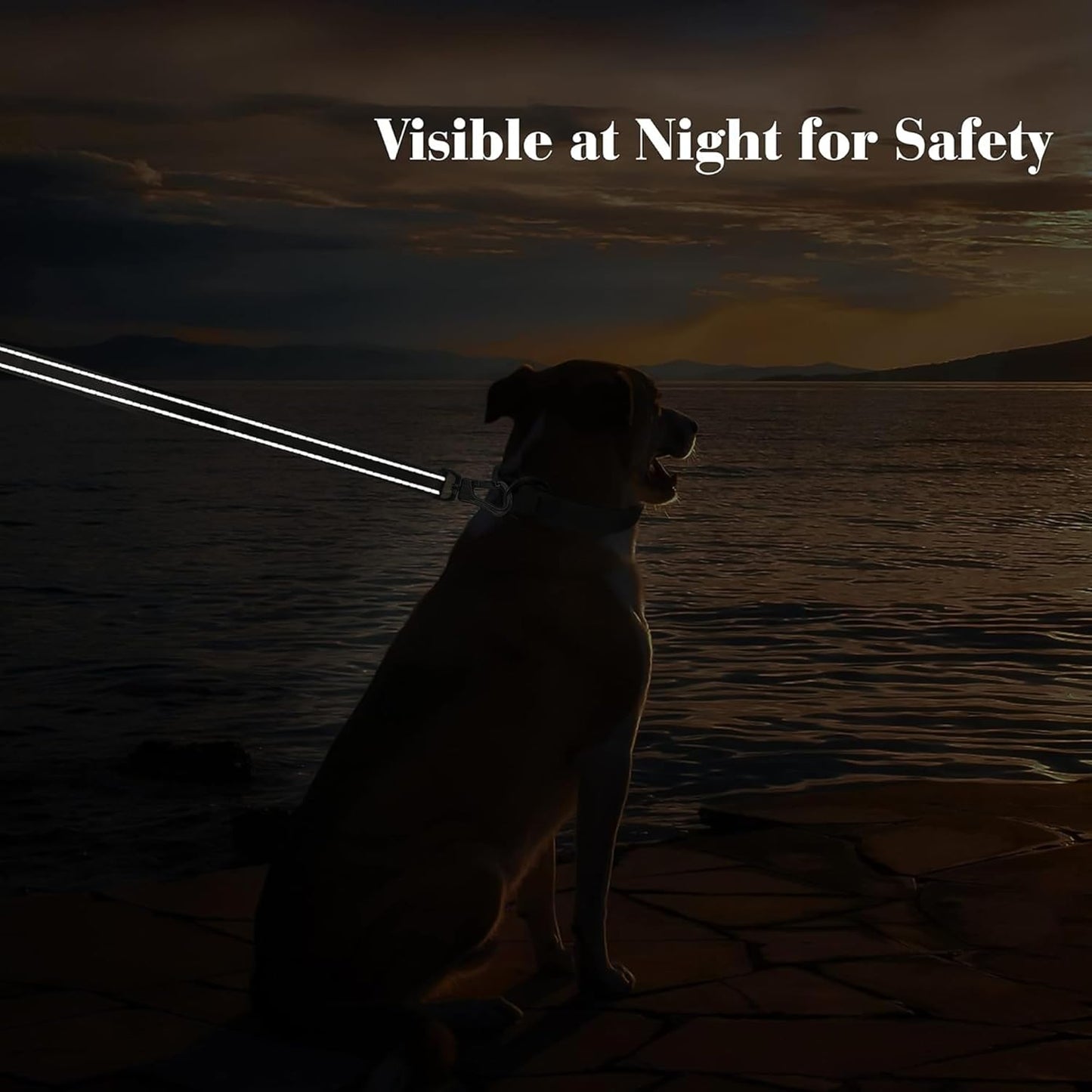 4FT Heavy-Duty Dog Leash with Padded Dual Handles, Durable Clasp, and Reflective Nylon for All Breeds - Red