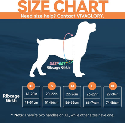 Neoprene Dog Life Vest, Dog Life Jacket for Swimming & Boating, Lightweight & Buoyancy for Puppy Doggy, Swimming Vest with Handle, XS, Blue Wave