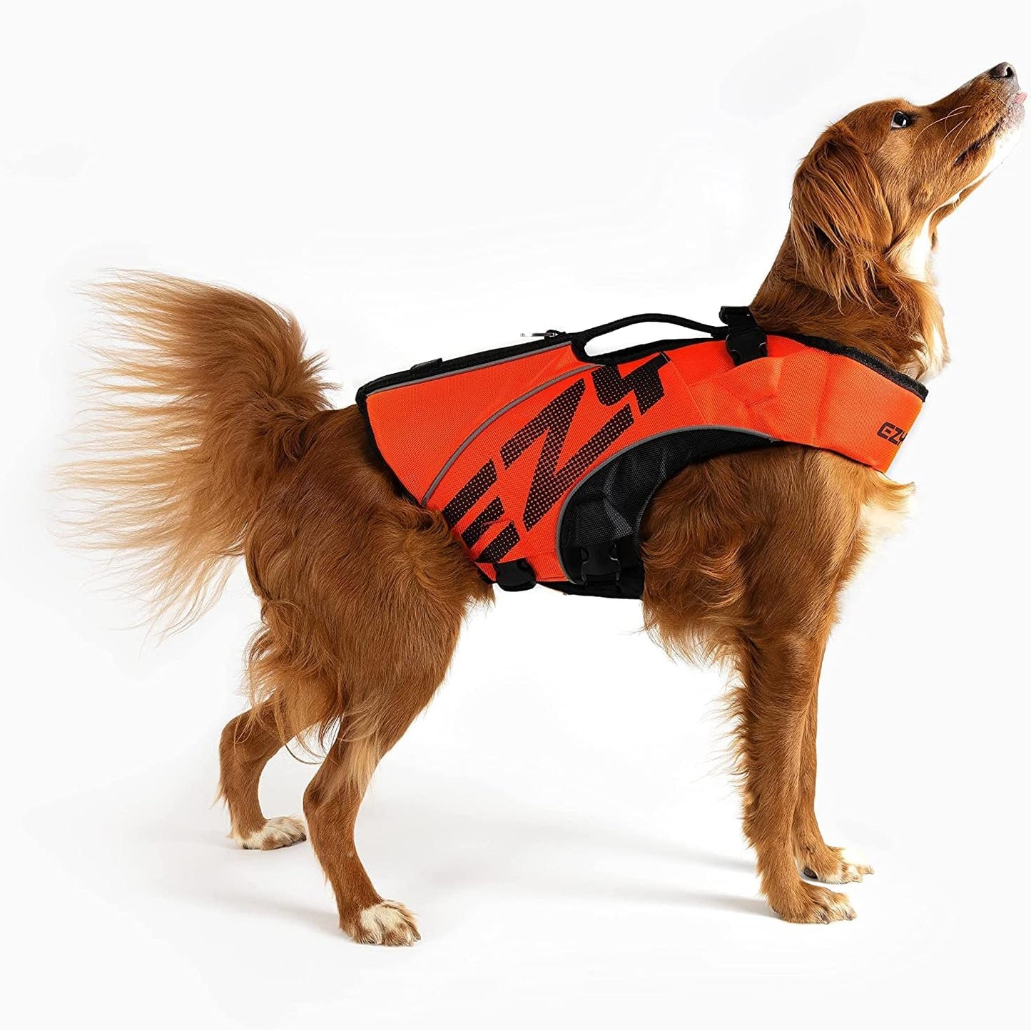 DFD X2 Dog Life Jacket - Adjustable Swimming Safety Life Vest Preserver with Continuous Neck Flotation, Reflective Trim, & Grab Handle (Medium, Red)