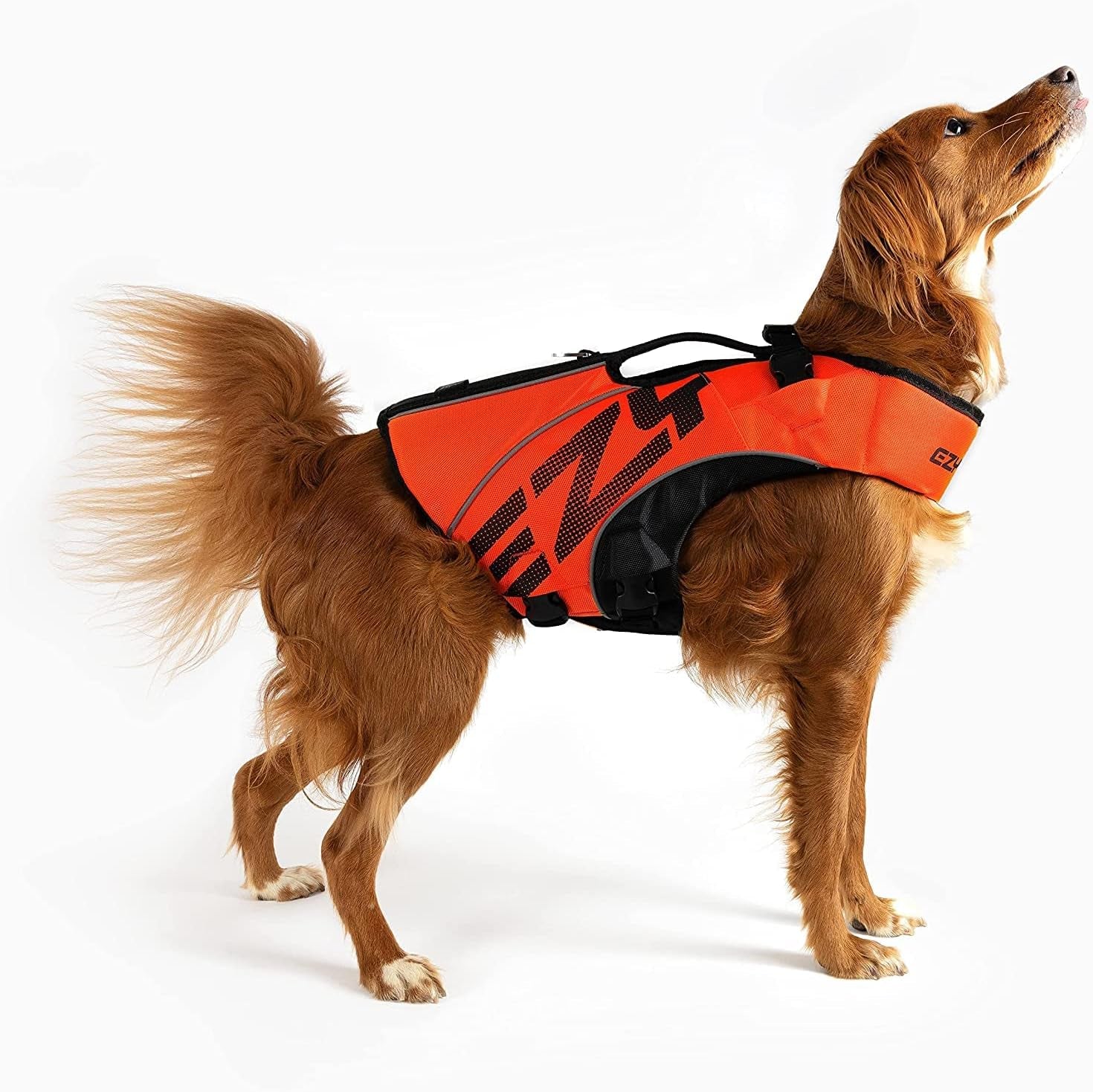 DFD X2 Dog Life Jacket - Adjustable Swimming Safety Life Vest Preserver with Continuous Neck Flotation, Reflective Trim, & Grab Handle (Medium, Red)