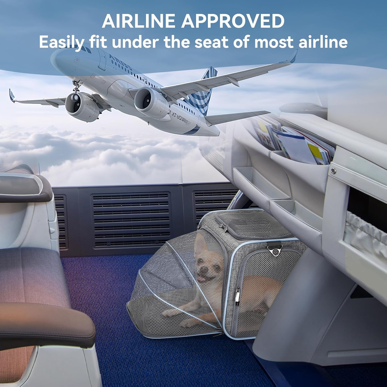 Expandable Cat Carrier Dog Carriers,Airline Approved Soft-Sided Portable Pet Travel Washable Carrier for Kittens,Puppies,Removable Soft Plush Mat and Pockets,Locking Safety Zippers