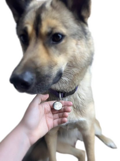 Pet EMF Defense Pendant