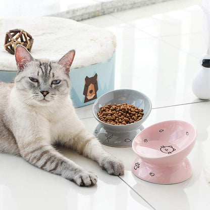 Elevated Ceramic Cat Bowls for Food and Water with Slanted Design for Spine Support and Backflow Prevention (Gray)
