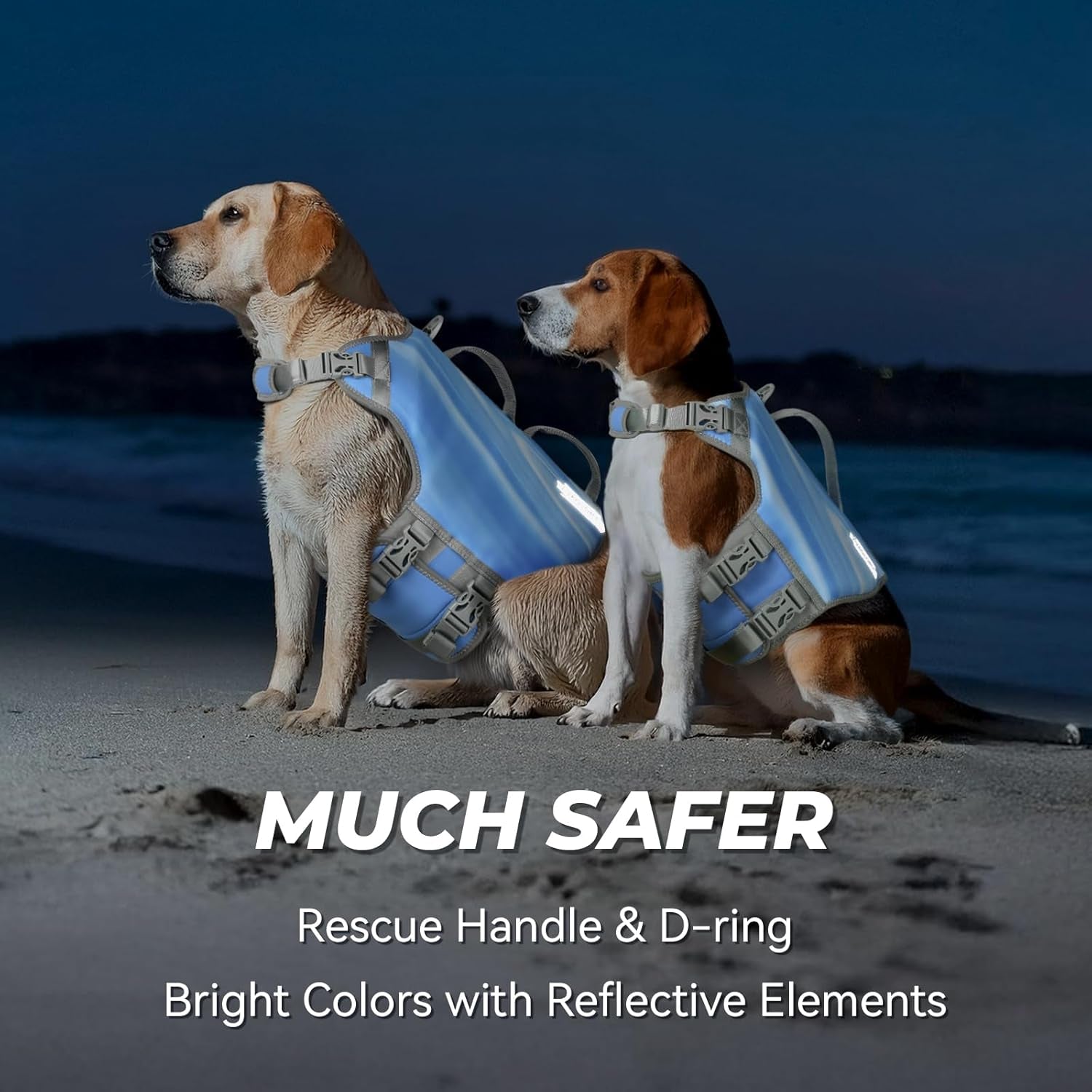 Neoprene Dog Life Vest, Dog Life Jacket for Swimming & Boating, Lightweight & Buoyancy for Puppy Doggy, Swimming Vest with Handle, XS, Blue Wave