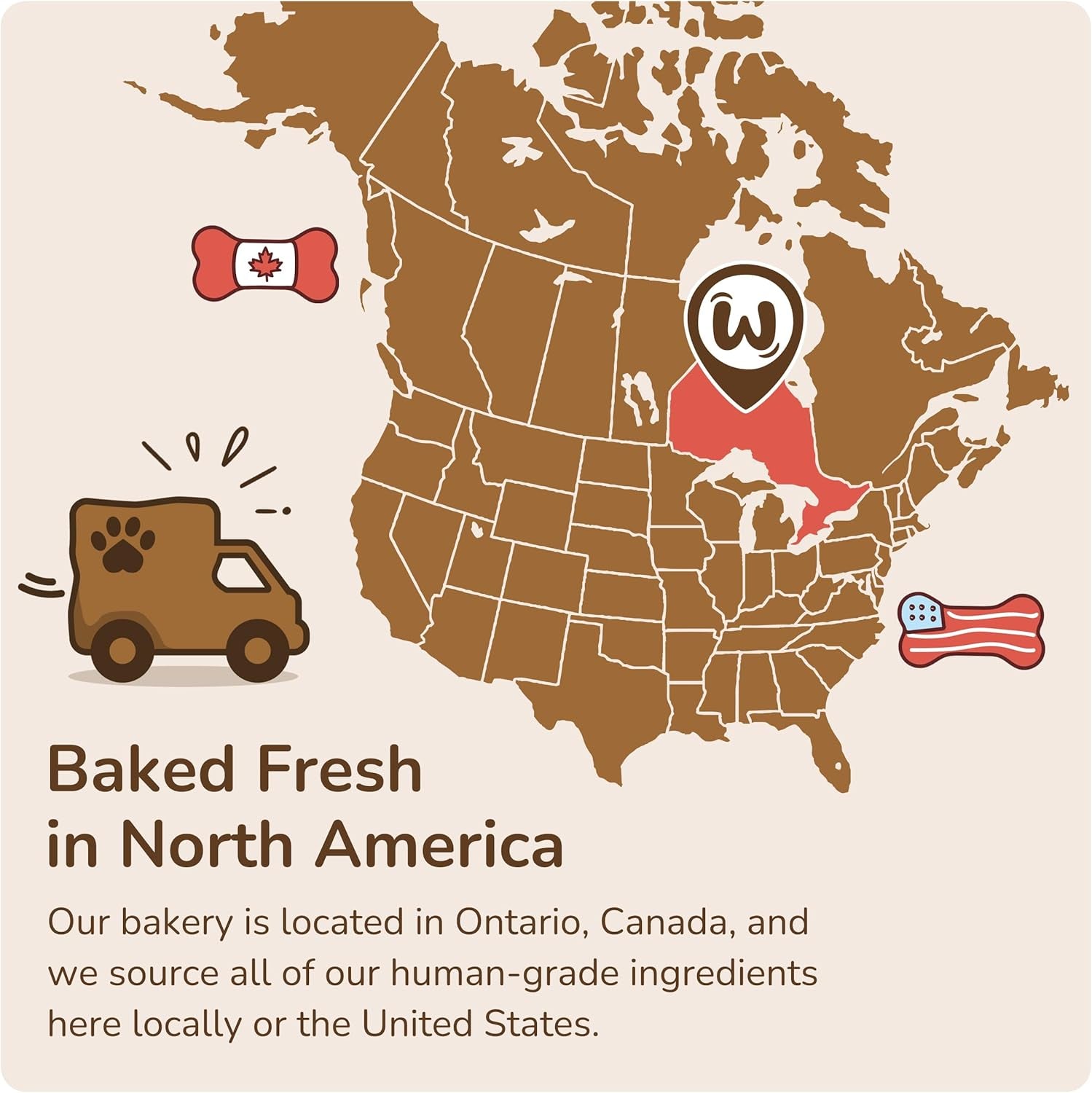 Wufers Get Well Soon Treats for Dogs | Handmade, Hand-Decorated Dog Gifts | Made with Locally Sourced Ingredients