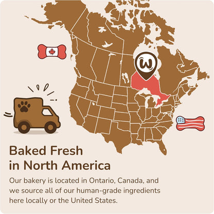 Wufers Get Well Soon Treats for Dogs | Handmade, Hand-Decorated Dog Gifts | Made with Locally Sourced Ingredients