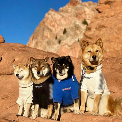 Stylish Streetwear Blue Dog Sweatshirt Tracksuits, Cats Hoodies, Dog Outfit for Cat Puppy Small Medium (3XL)