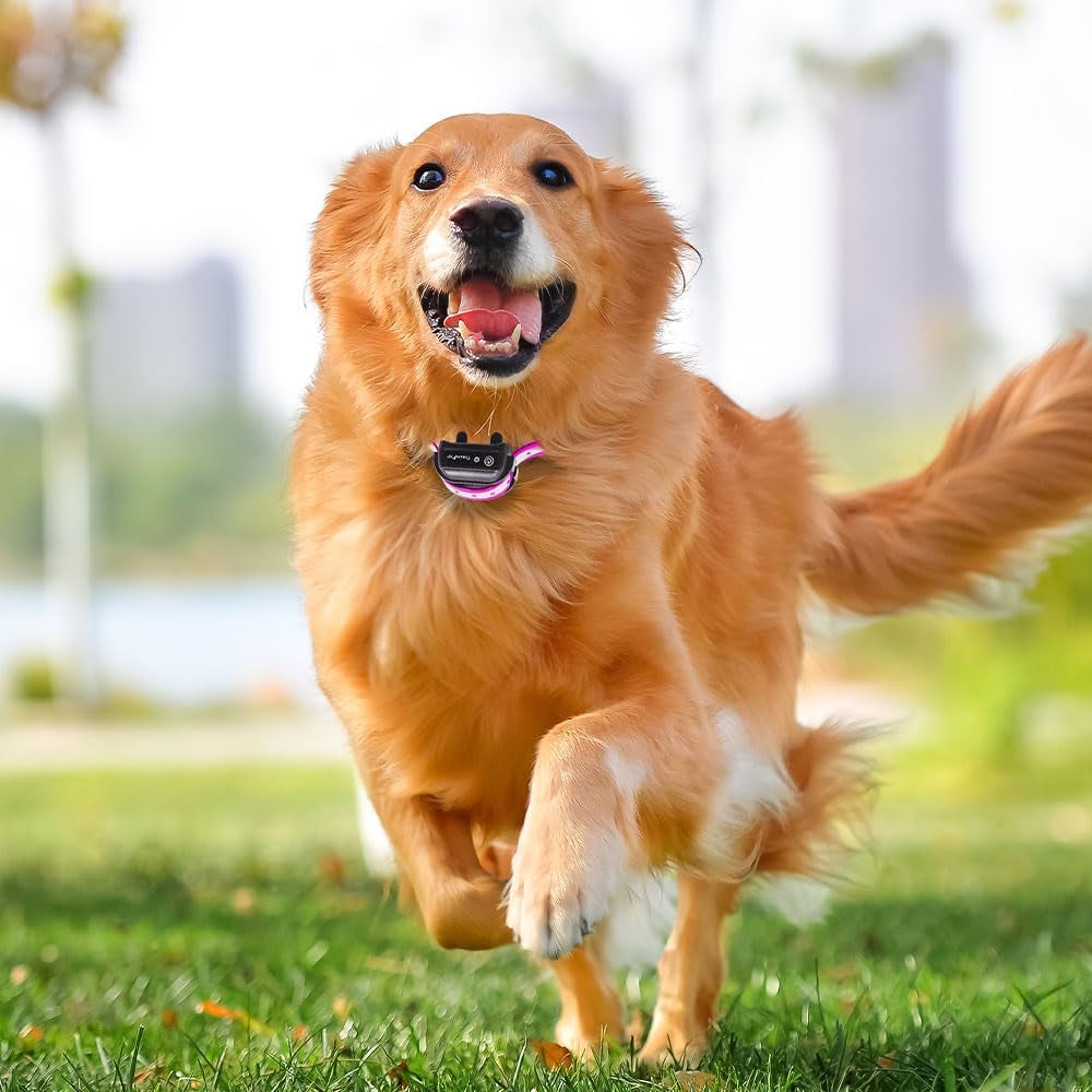 Universal 27 ½” X ¾” Replacement Band Strap for Dog Training Collar - Adjustable Waterproof TPU for Remote E-Collar, Static/Vibration Shock Trainer, Fits Most Bark Control & Obedience Devices