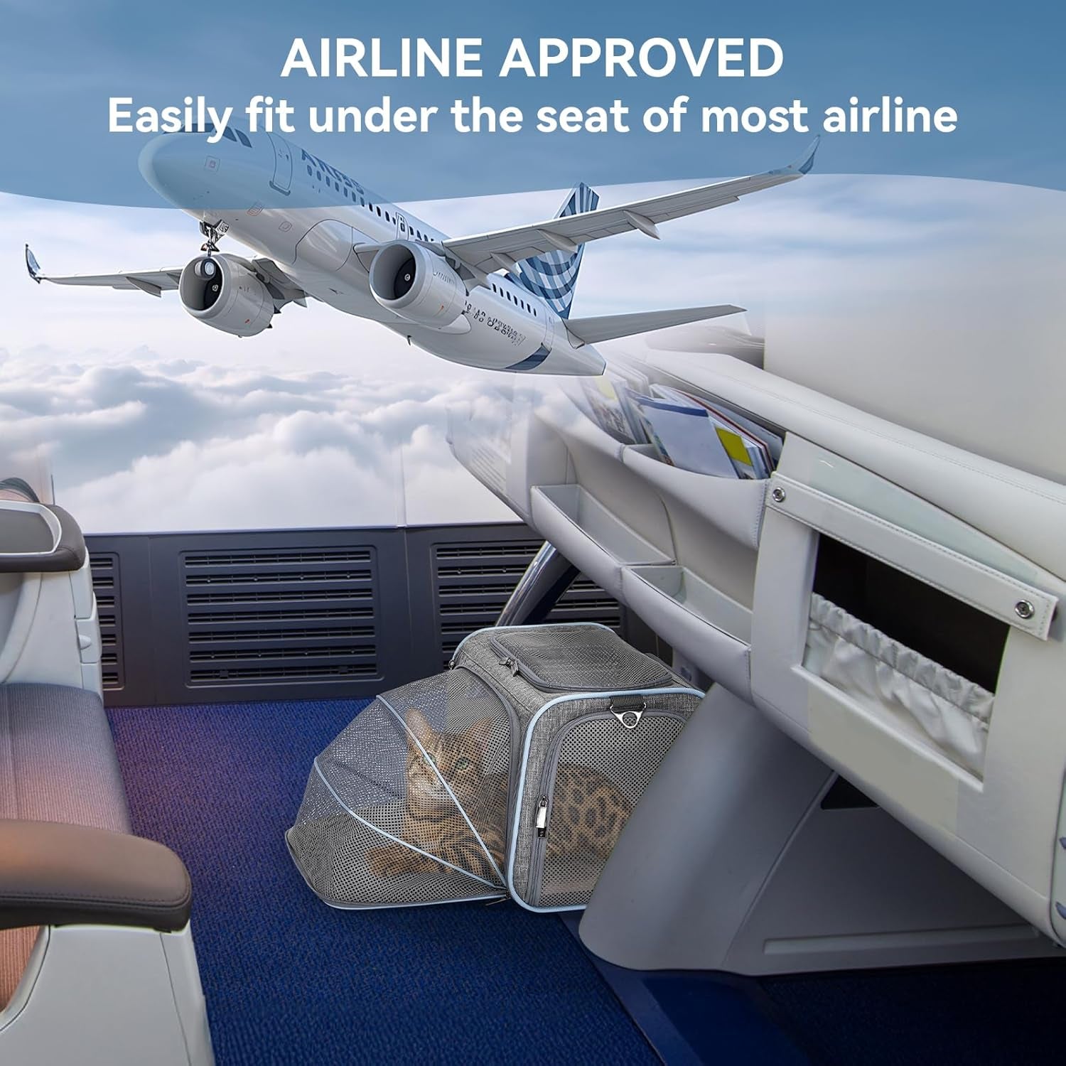 Expandable Small Cat Carriers Dog Carrier, Airline Approved Soft-Sided Portable Washable Pet Travel Carrier with Two Extension up to 9LB