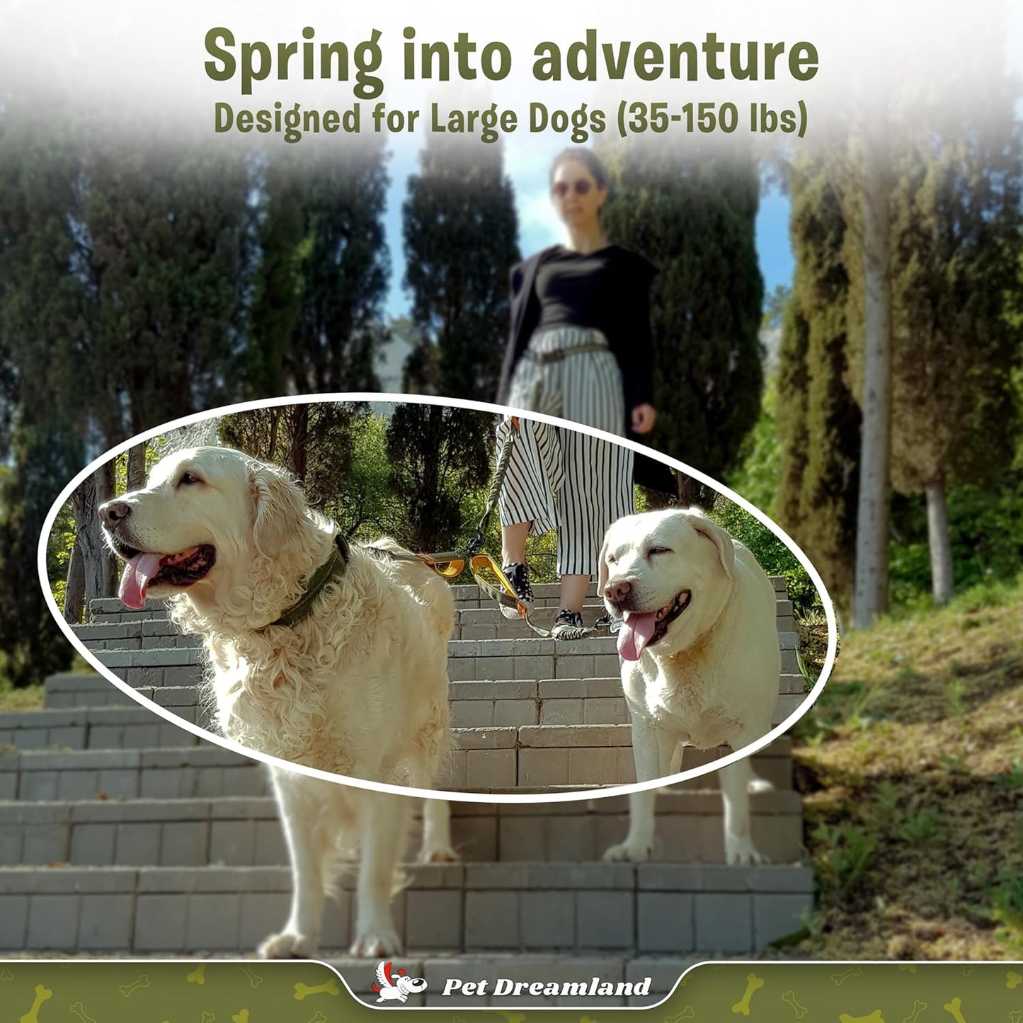 Exquisite Double Dog Leash Coupler with Tangle-Free Swivel. Premium & Versatile Attachment for Walking Two Dogs. You Will Absolutely Love This Amazing Dual Dog Coupler (Khaki & Orange)