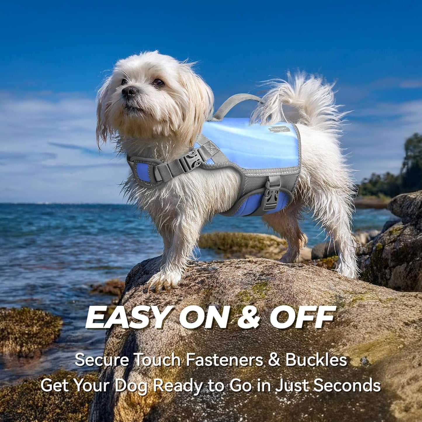 Neoprene Dog Life Vest, Dog Life Jacket for Swimming & Boating, Lightweight & Buoyancy for Puppy Doggy, Swimming Vest with Handle, XS, Blue Wave