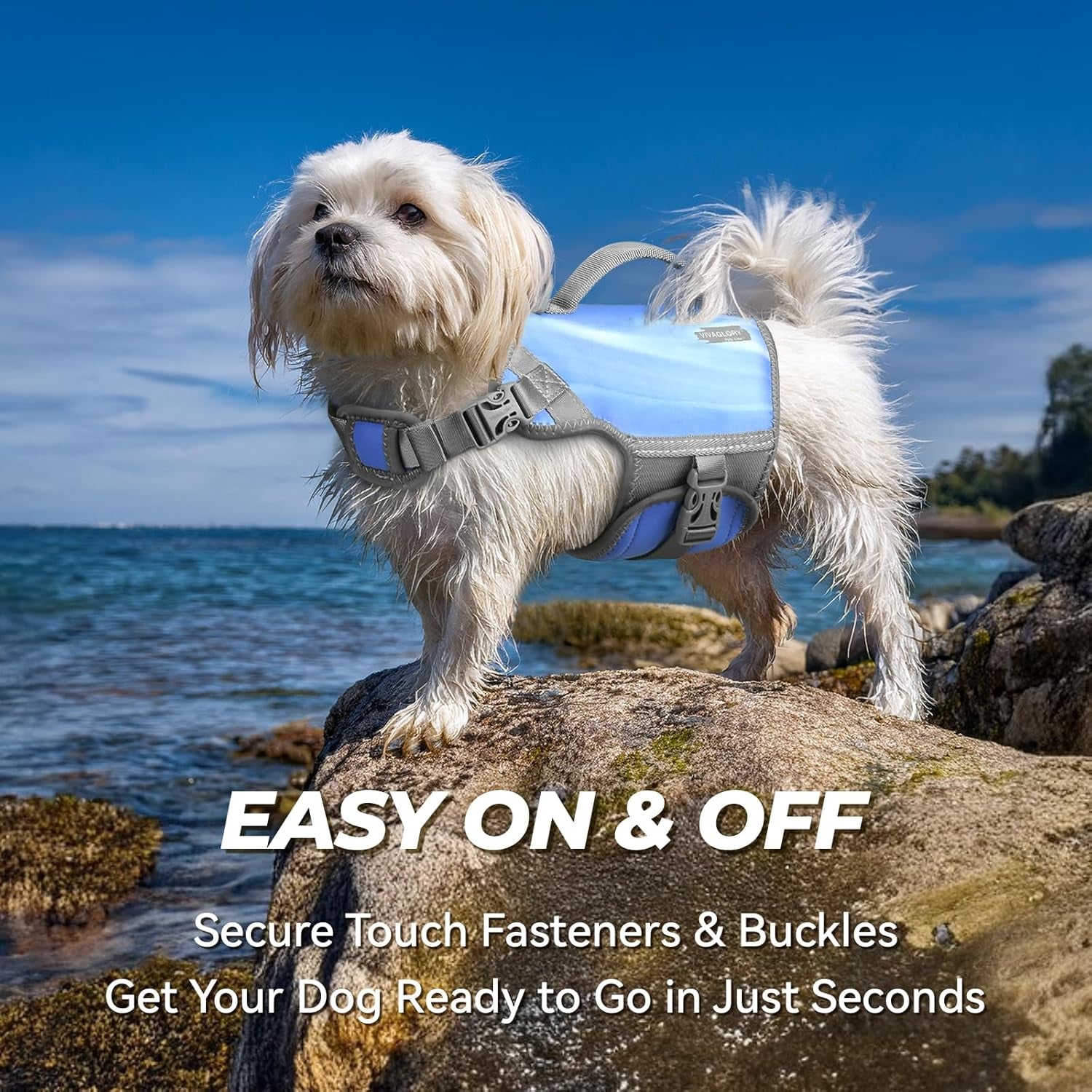 Neoprene Dog Life Vest, Dog Life Jacket for Swimming & Boating, Lightweight & Buoyancy for Puppy Doggy, Swimming Vest with Handle, XS, Blue Wave