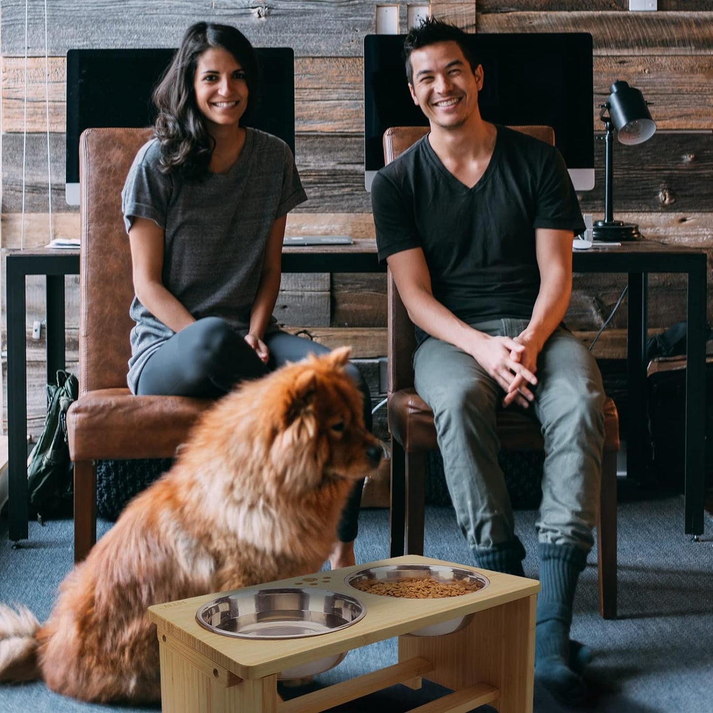 Elevated Dog Bowl Stand with Dual Stainless Steel Bowls for Dogs of All Breeds