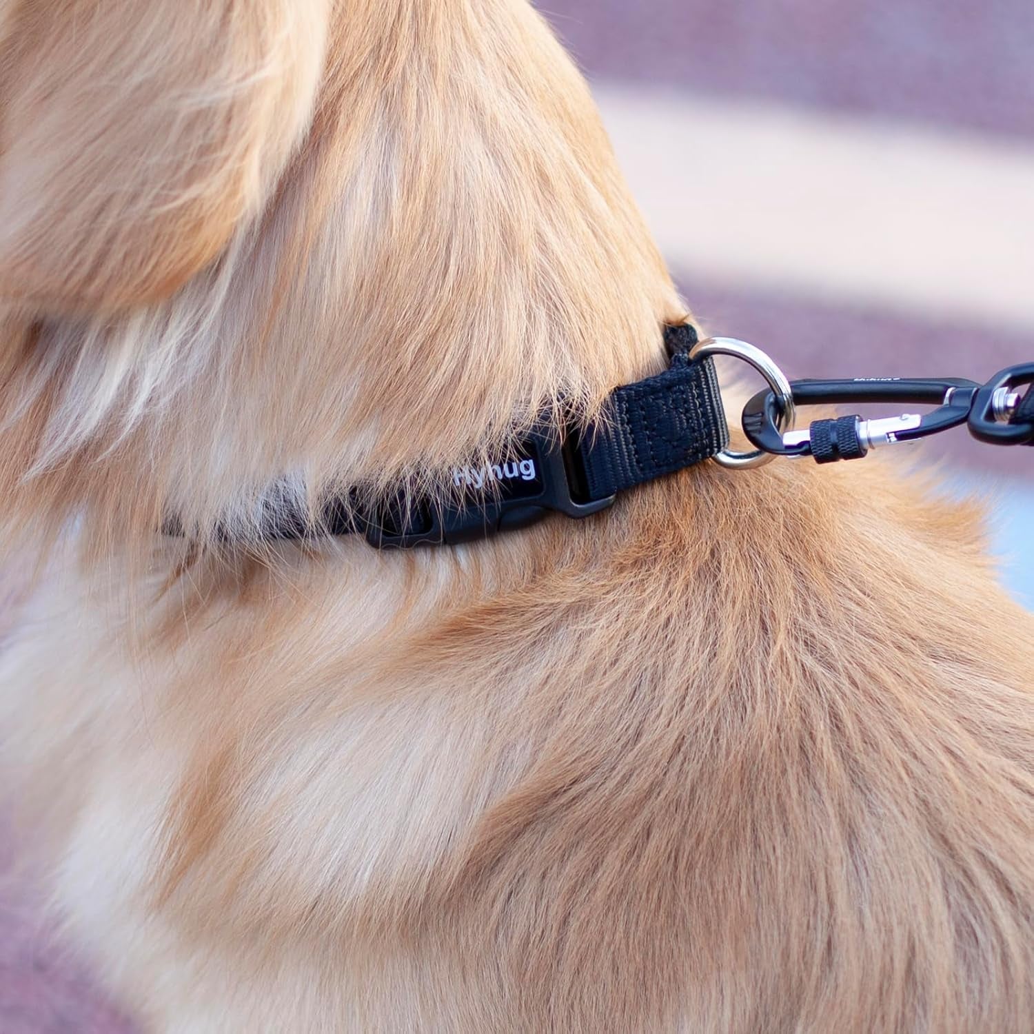 Puppy Collar with Quick Release Buckle, Nylon Adjustable Durable Cute Dog Collar for Small Dogs, Male and Female(Small, Black)