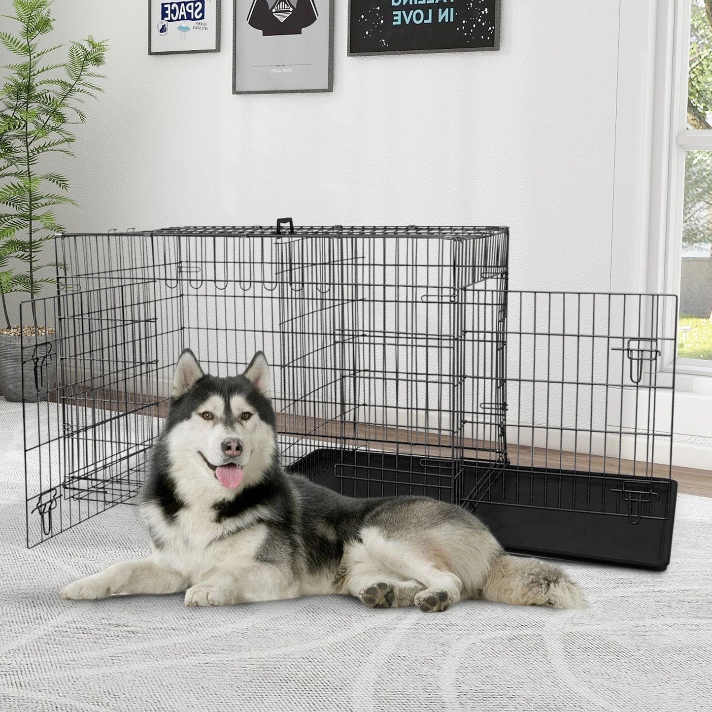 48-Inch Collapsible Metal Dog Crate with Dual Access Doors and Carry Handle, Suitable for Large and Medium Breeds, Includes Removable Plastic Tray, Black