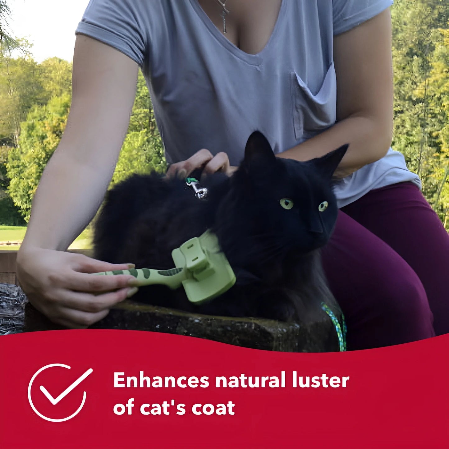 Safari Self-Cleaning Slicker Brush for Cats - Professional Grooming Tool